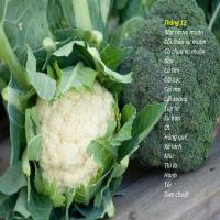 Tháng 12 trồng cây gì